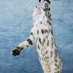 FuniDSC09084