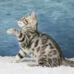 FuniDSC09136