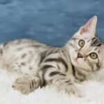 FuniDSC09165