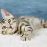 FuniDSC09462