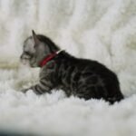 Umbra_Week-3_DSC01654