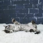 Umbra_Week-6_DSC05765