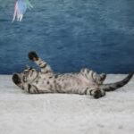 Umbra_Week-7_DSC08581