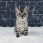 Umbra_Week-10_DSC04083