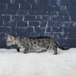 Umbra_Week-10_DSC04131