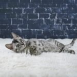 Umbra_Week-10_DSC04365