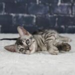 Umbra_Week-8_DSC01268