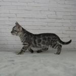 Umbra_Week-9_DSC03190 (2)